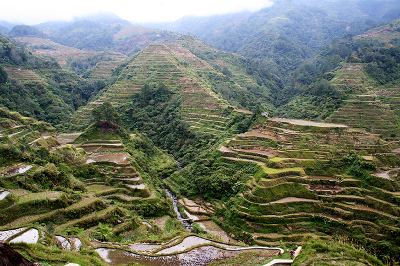 ifugao cordilleras